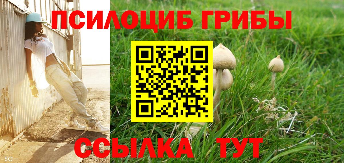 Галлюциногенные грибы GOLDEN TEACHER  Вход с VPN  Дербент  Галлюциногенные грибы мухоморы 