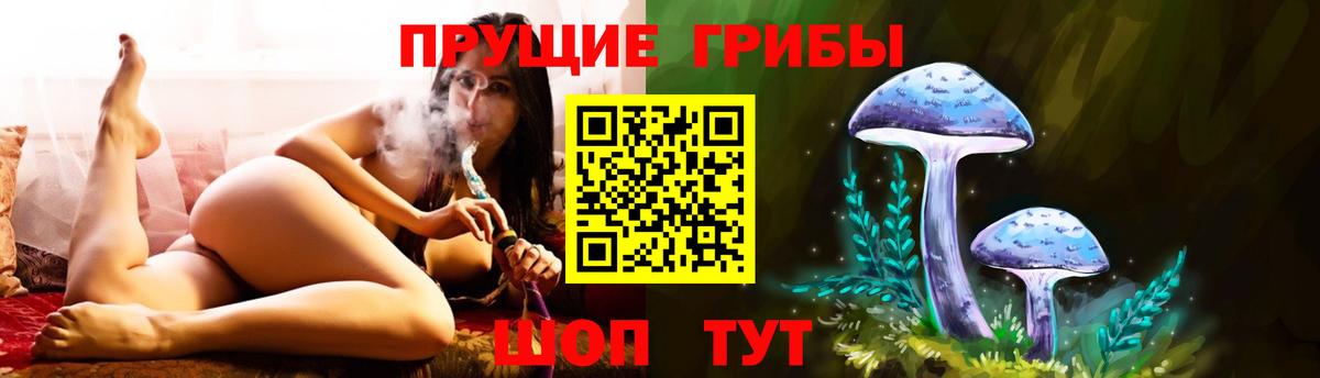 Псилоцибиновые грибы Magic Shrooms Дербент